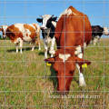 12.5 gauge welded wire fence